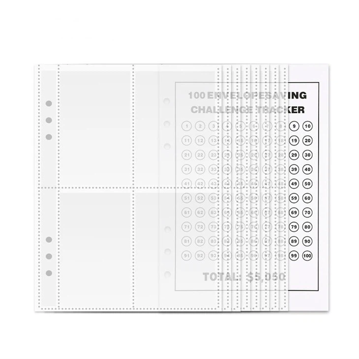 100 savings challenge